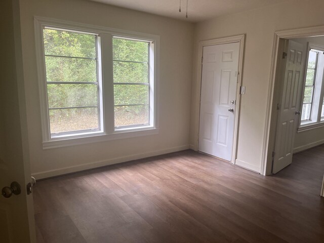 spare room with plenty of natural light and wood-type flooring