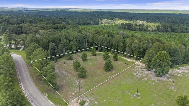 Listing photo 2 for 2000 County Road 249, Jasper TX 75951