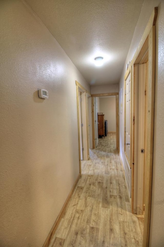 239 Homer Rd, Wells, TX 75976 - photo 11