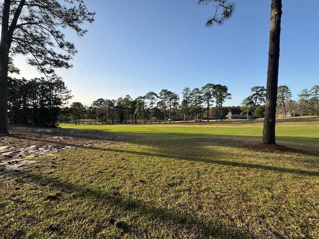 2550 Sam Rayburn Pkwy, Brookeland, TX 75931 - photo 7