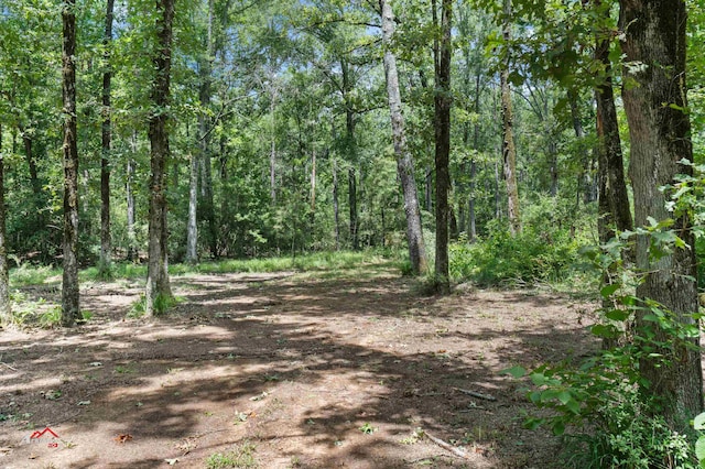 view of local wilderness