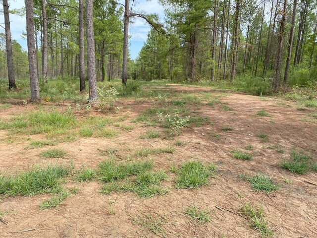 24633LOT30 Fm 844, Huntington, TX 75949 - photo 6