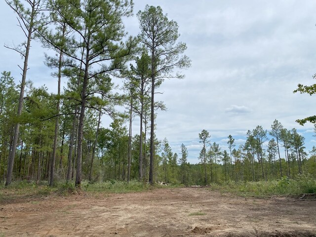 24633LOT30 Fm 844, Huntington, TX 75949 - photo 10