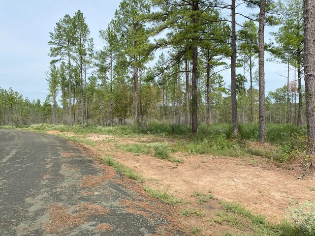 24633LOT30 Fm 844, Huntington, TX 75949 - photo 5