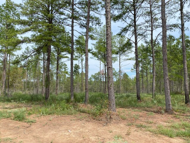24633LOT30 Fm 844, Huntington, TX 75949 - photo 4