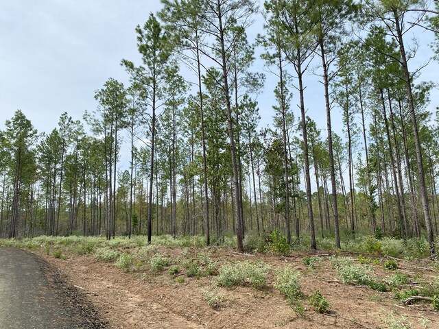 24633LOT30 Fm 844, Huntington, TX 75949 - photo 9