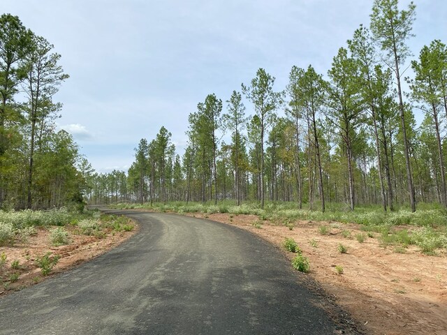 24633LOT30 Fm 844, Huntington, TX 75949 - photo 8