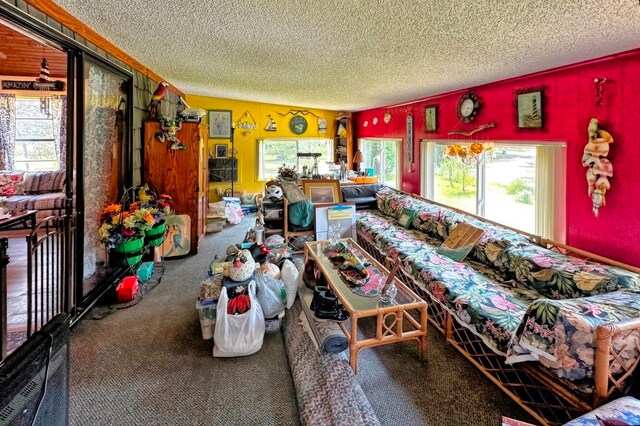 interior space with carpet and a textured ceiling