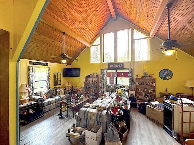 living room featuring beam ceiling, a healthy amount of sunlight, and wood-type flooring