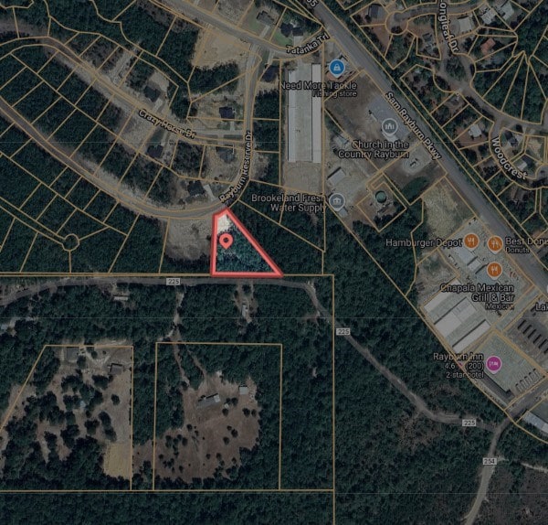 135 Rayburn Reserve Dr, Jasper, TX 75931 - photo 5