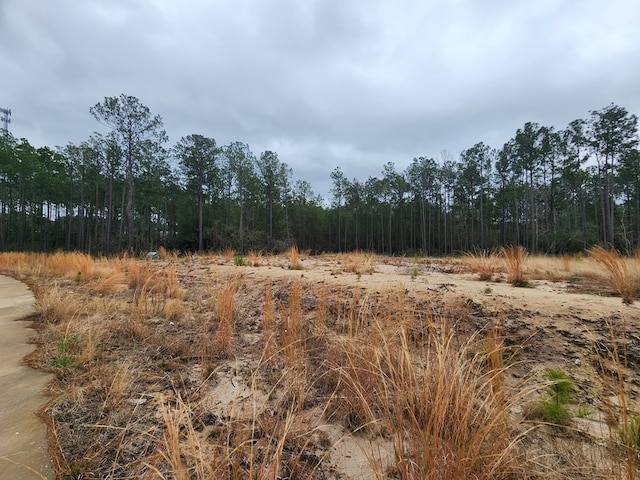135 Rayburn Reserve Dr, Jasper, TX 75931 - photo 2