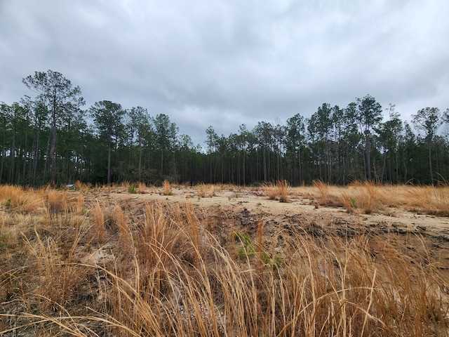 135 Rayburn Reserve Dr, Jasper, TX 75931 - photo 4