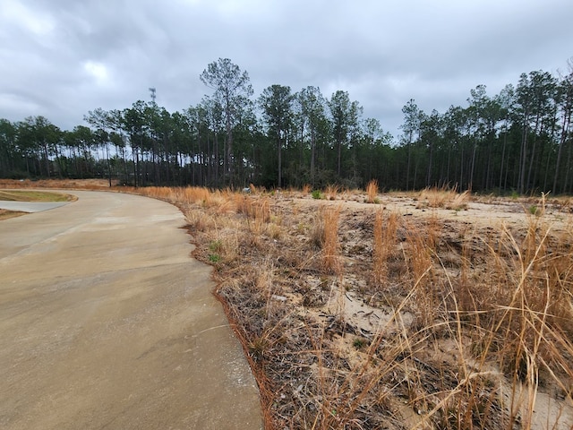 135 Rayburn Reserve Dr, Jasper, TX 75931 - photo 3