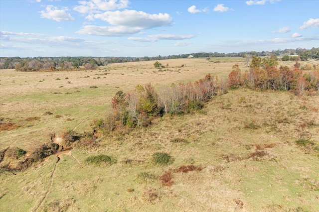 view of landscape with a rural view