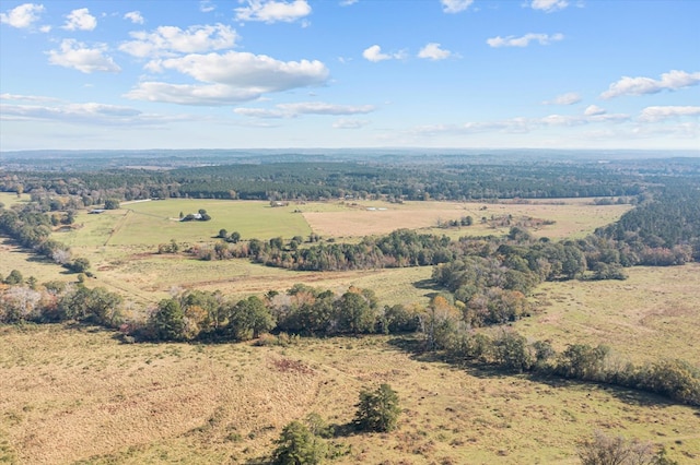aerial view with a wooded view