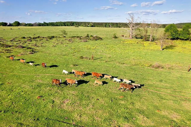 exterior space featuring a rural view