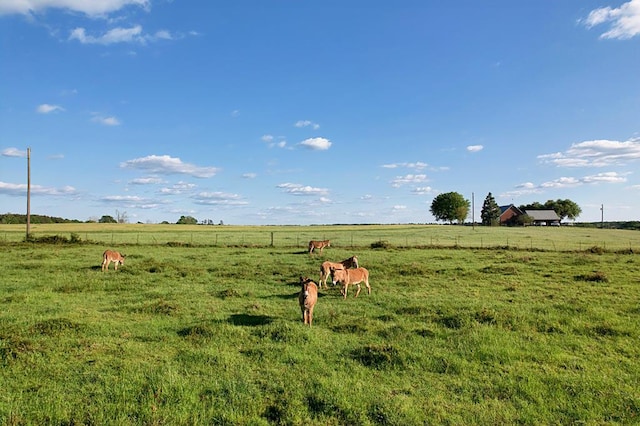 view of yard featuring a rural view and fence