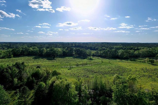 view of local wilderness