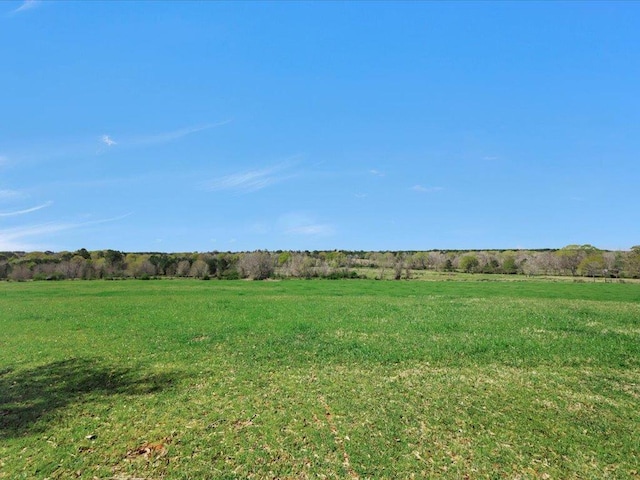 view of local wilderness with a rural view