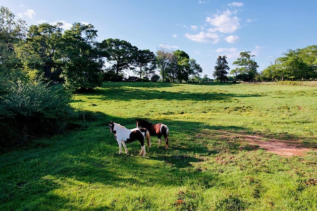 view of community with a rural view and a yard