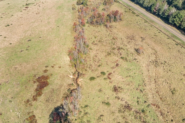 bird's eye view with a rural view