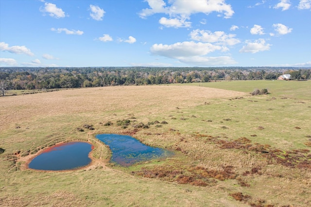 drone / aerial view featuring a rural view