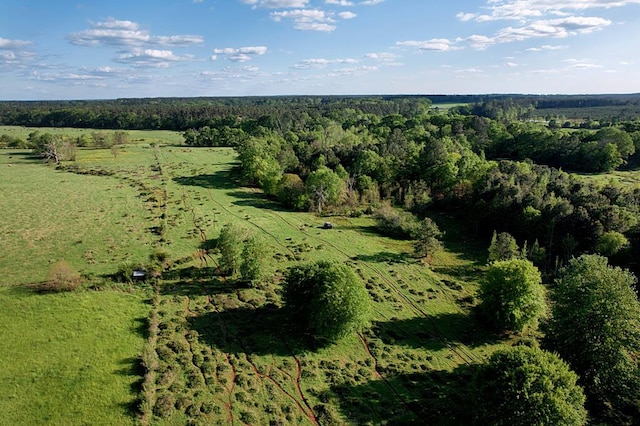 birds eye view of property with a forest view and a rural view
