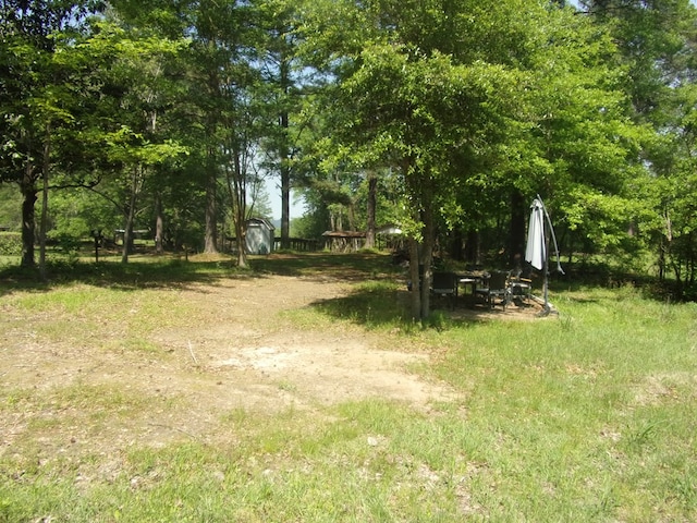 428 Holiday Cir, Hemphill, TX 75948 - view of yard