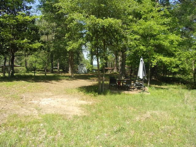 428 Holiday Cir, Hemphill, TX 75948 - view of yard featuring a storage shed and an outdoor structure