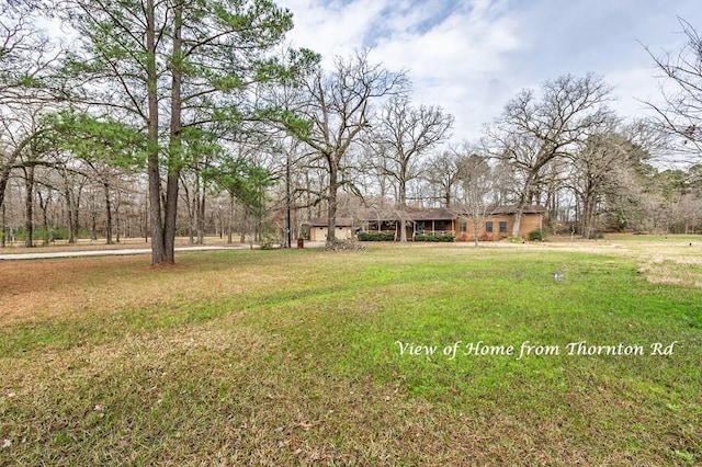 229 Thornton Rd, Huntington, TX 75949 - view of green lawn