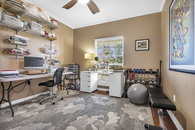 office space with hardwood / wood-style floors, ceiling fan, and ornamental molding