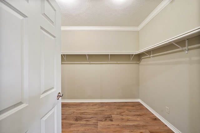 walk in closet featuring hardwood / wood-style flooring