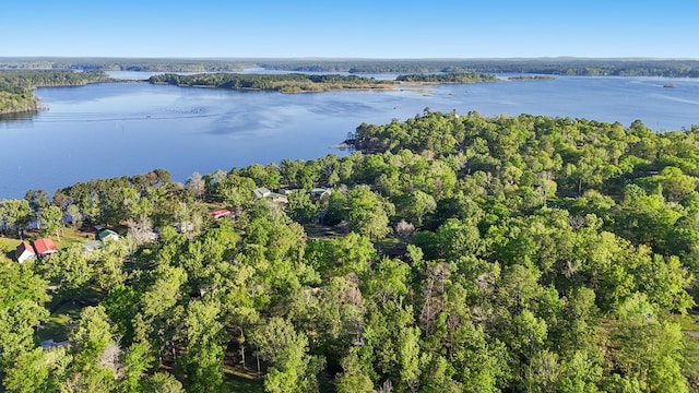 245 Shadow Dr, Hemphill, TX 75948 - view of property location featuring a nearby body of water and a forest