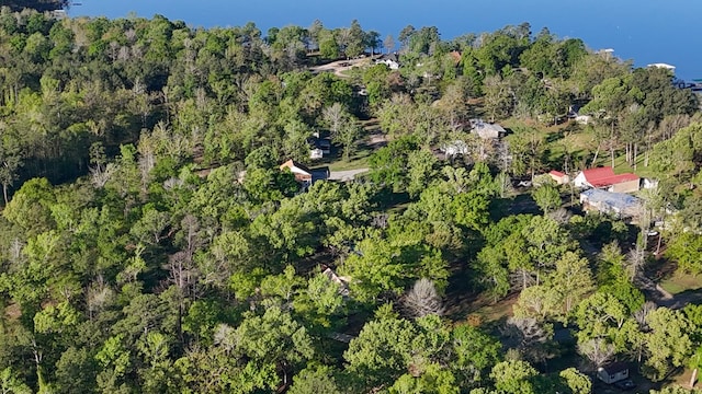 245 Shadow Dr, Hemphill, TX 75948 - view of property location with a heavily wooded area