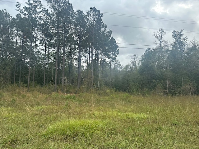 Listing photo 3 for TBD Fm 1005, Jasper TX 75951