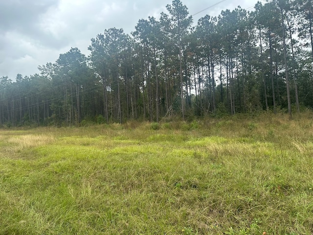 Listing photo 2 for TBD Fm 1005, Jasper TX 75951