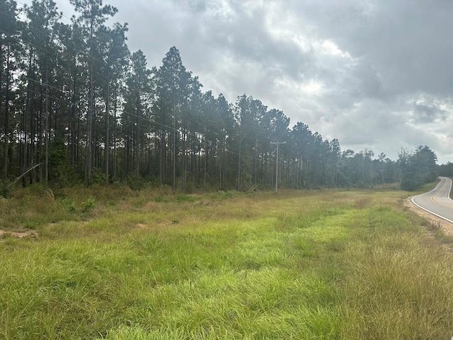 Listing photo 2 for TBD Fm 1005, Jasper TX 75951