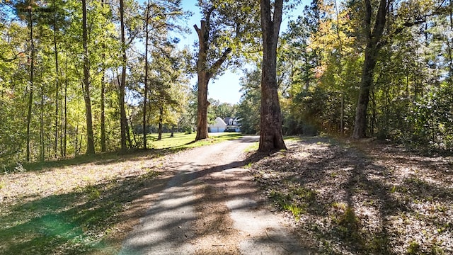 view of road