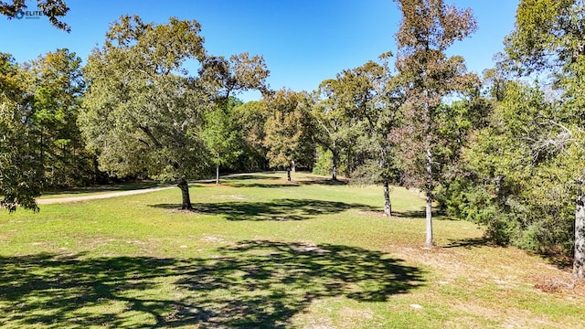 view of community with a lawn