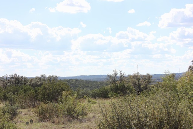 PID3126 Fm 2169, Junction TX, 76849 land for sale