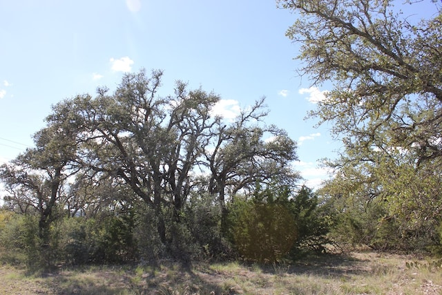 PID3126 Fm 2169, Junction, TX 76849 - photo 11