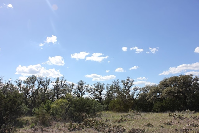 PID3126 Fm 2169, Junction, TX 76849 - photo 9