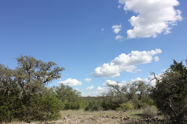 PID3126 Fm 2169, Junction, TX 76849 - photo 12