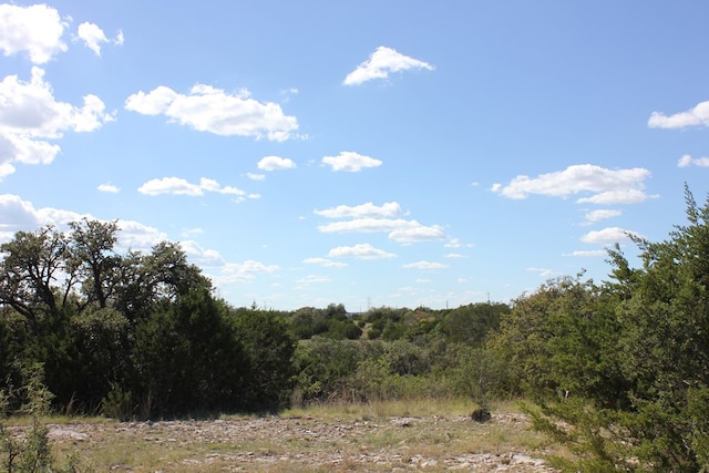 Listing photo 3 for PID3126 Fm 2169, Junction TX 76849