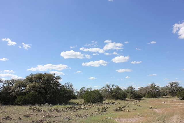 PID3126 Fm 2169, Junction, TX 76849 - photo 10