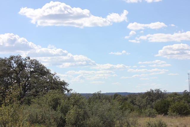 PID3126 Fm 2169, Junction, TX 76849 - photo 16