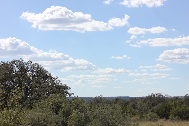 PID3126 Fm 2169, Junction, TX 76849 - photo 17