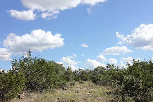 Listing photo 2 for PID3126 Fm 2169, Junction TX 76849