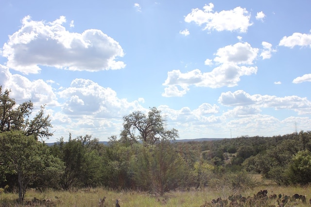PID3126 Fm 2169, Junction, TX 76849 - photo 5