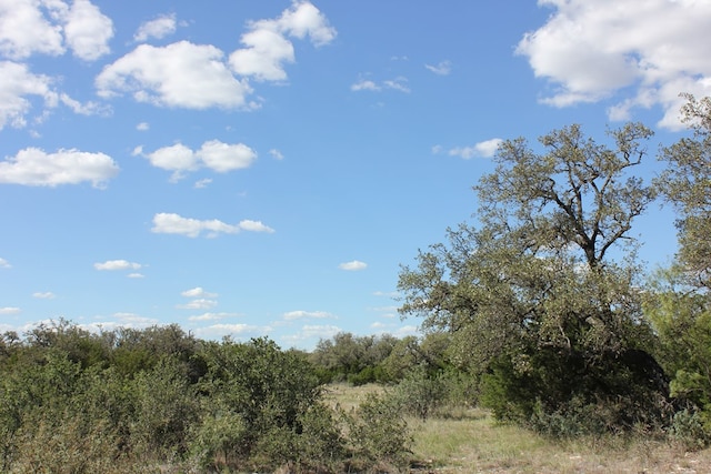 PID3126 Fm 2169, Junction, TX 76849 - photo 18